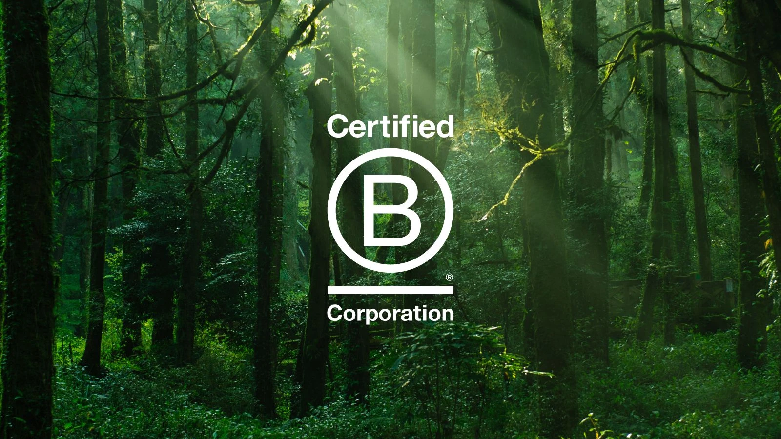 24 HR Pharmacy Is Now B Corp Certified