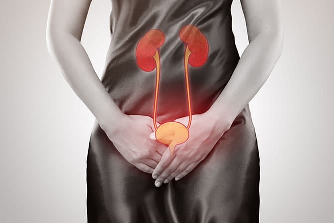 Urinary Tract Infections and Cystitis category